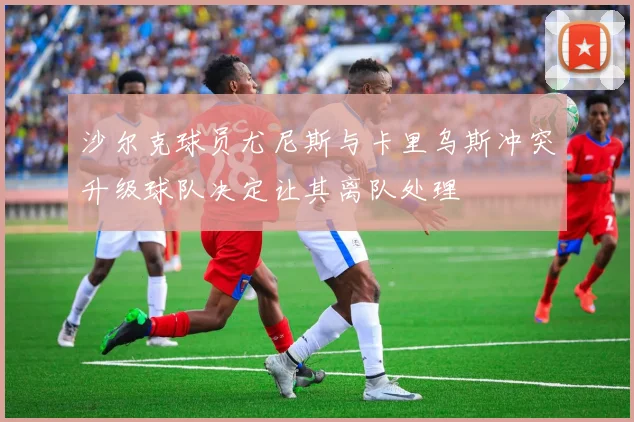 沙尔克球员尤尼斯与卡里乌斯冲突升级球队决定让其离队处理